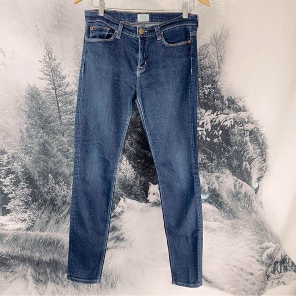 Hudson | Skinny Jeans | 28